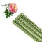 50/Package Floral Stems Wire for Paper Flower 16 Gauge Green Floral Paper Wrapped Wire 16 inch Artificial Crafts Wire Wreath Making Supplies for Wedding DIY